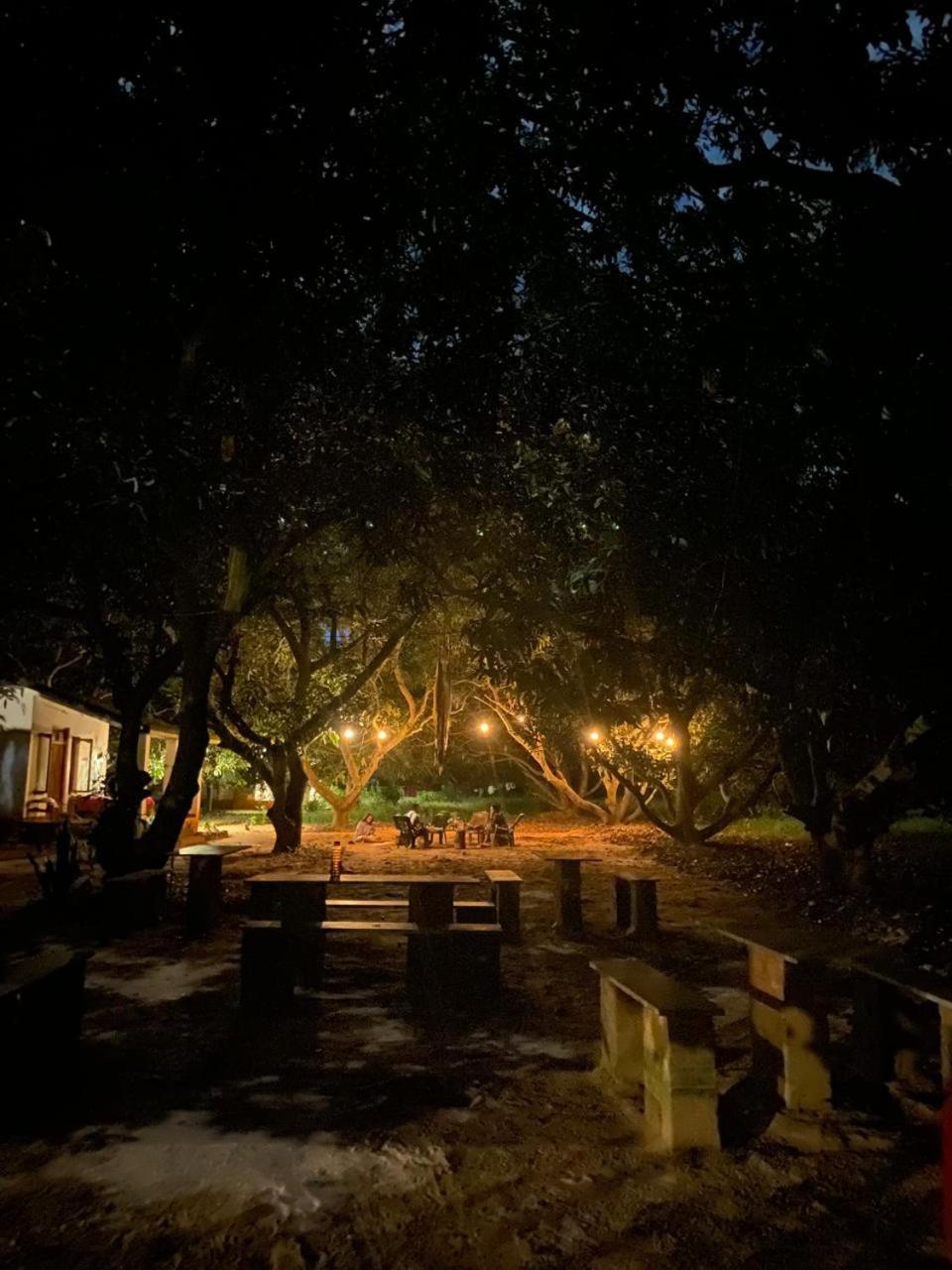 Art Forest Puducherry Buitenkant foto