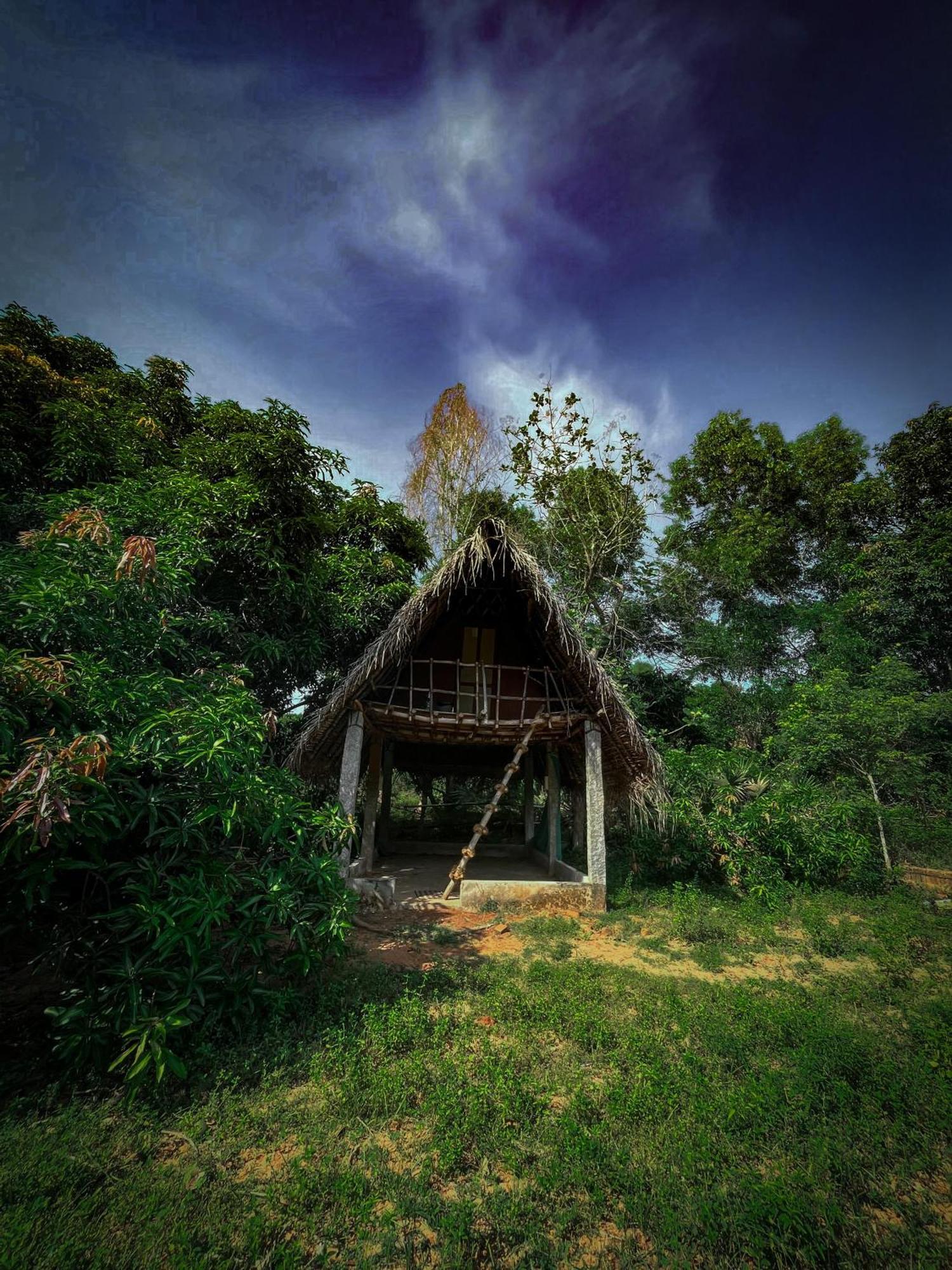 Art Forest Puducherry Buitenkant foto