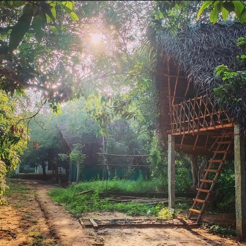 Art Forest Puducherry Buitenkant foto
