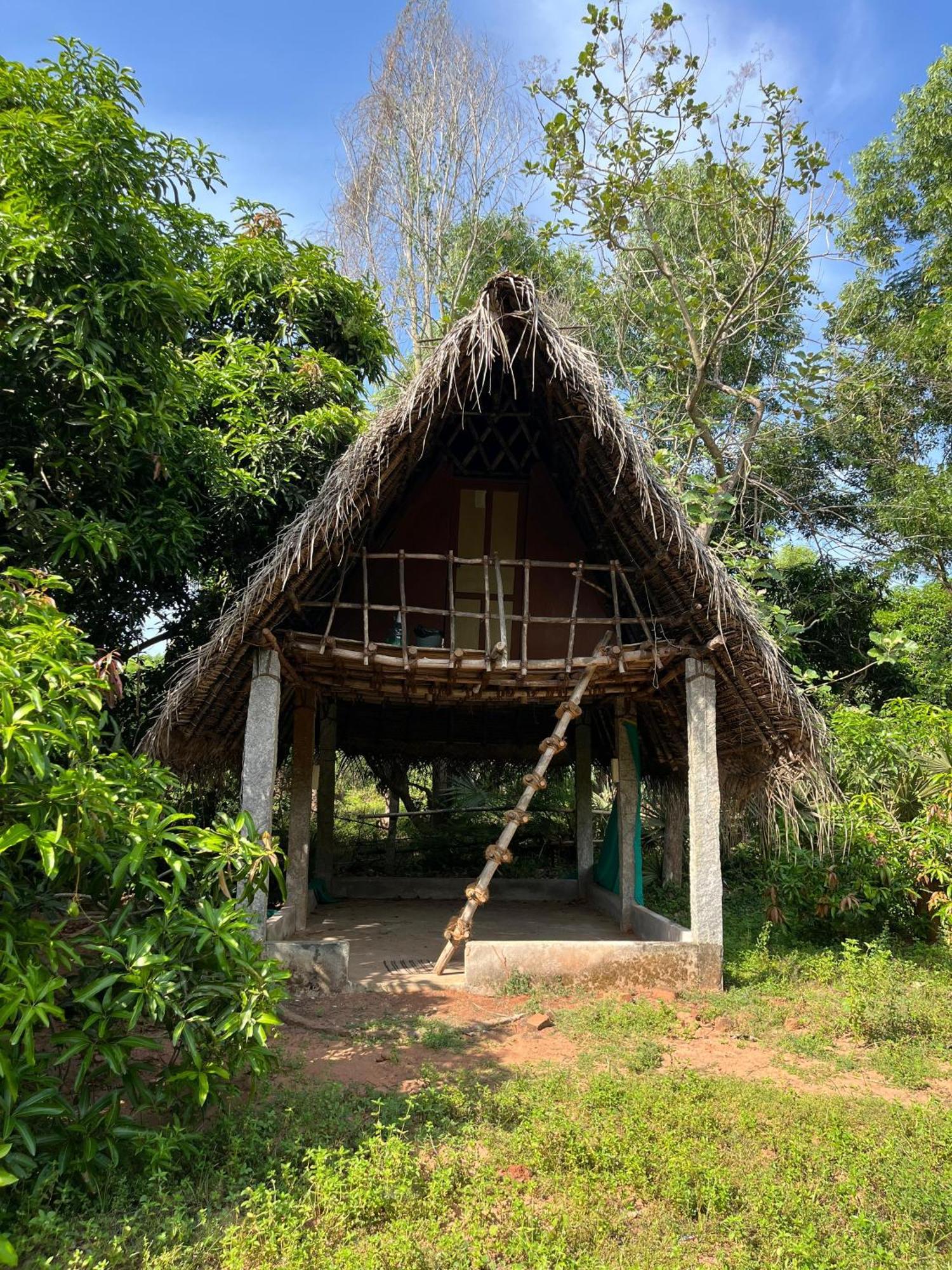 Art Forest Puducherry Buitenkant foto