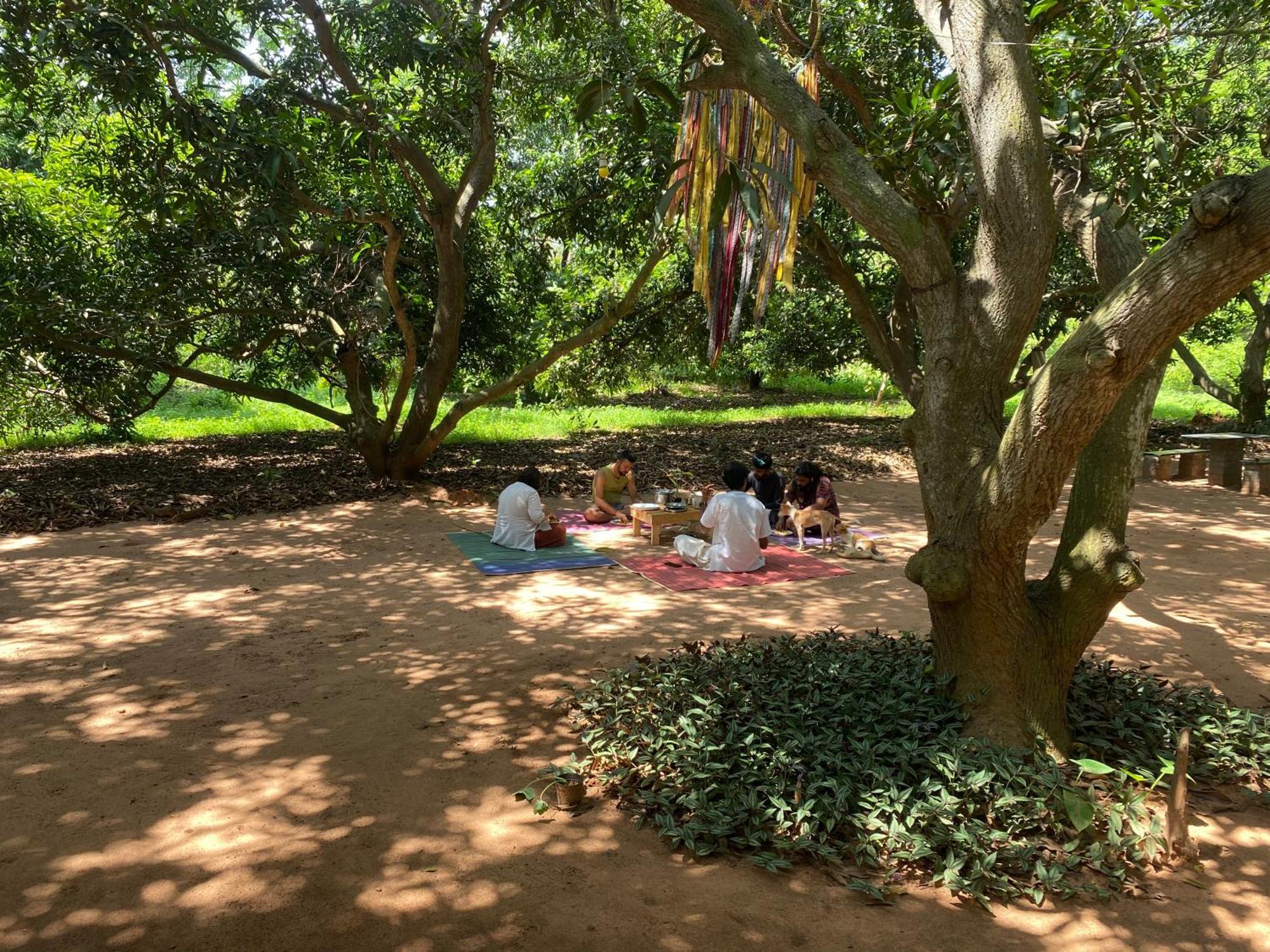 Art Forest Puducherry Buitenkant foto