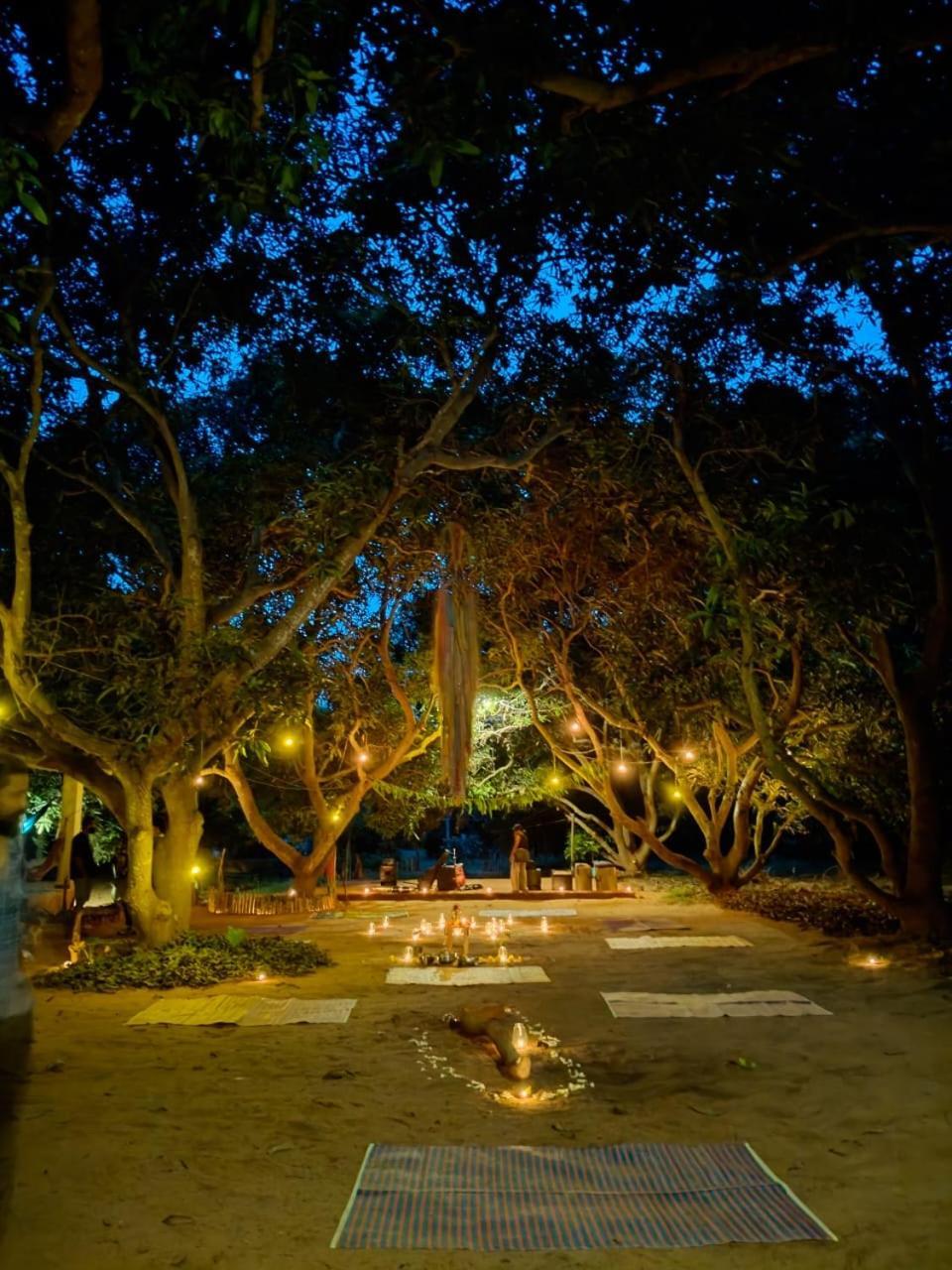 Art Forest Puducherry Buitenkant foto