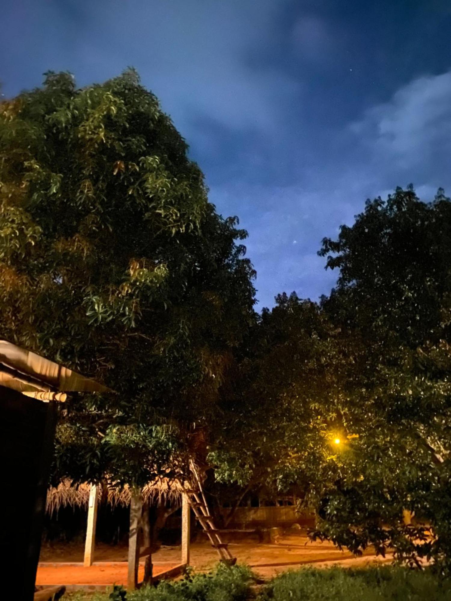 Art Forest Puducherry Buitenkant foto